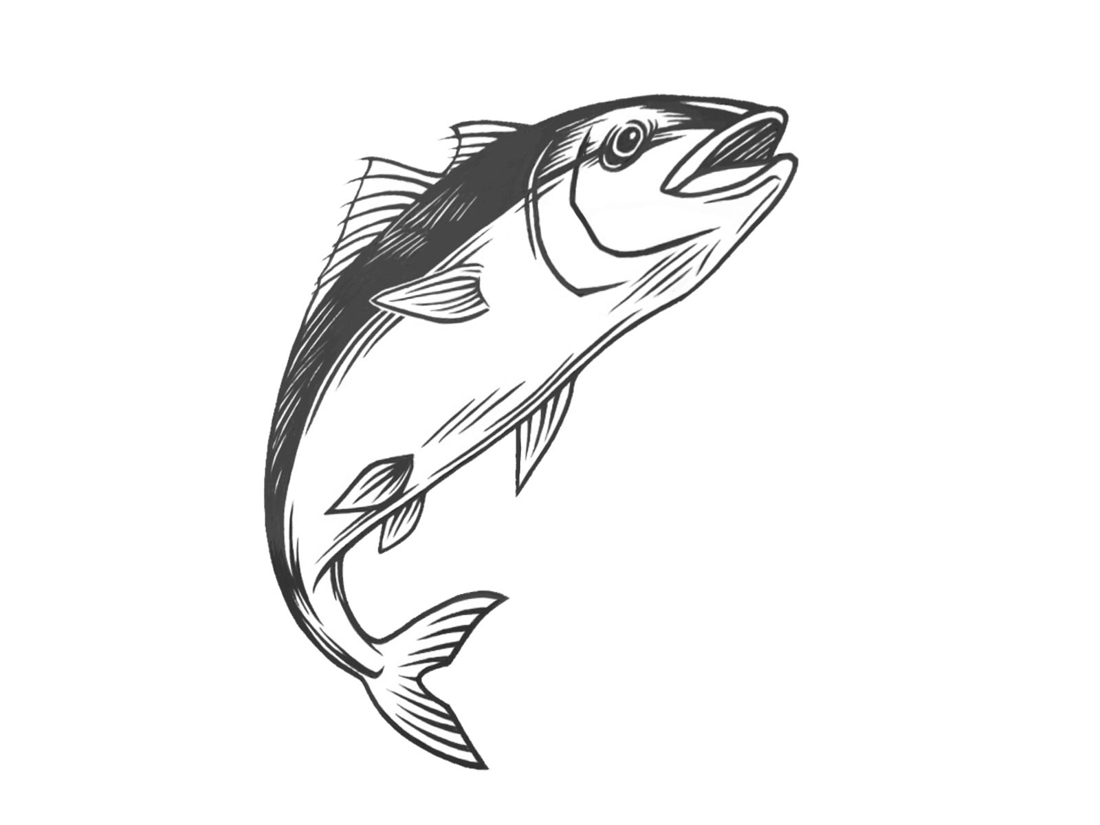 魚のイラスト